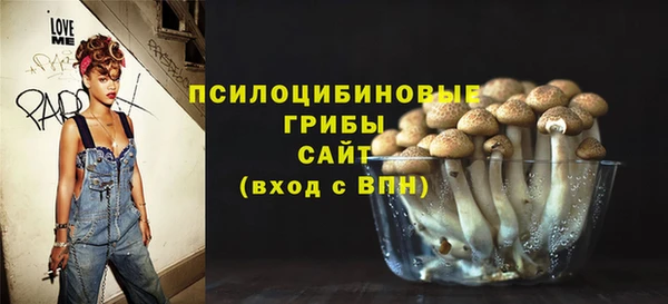мдпв Арсеньев