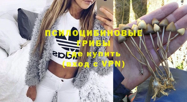 прущая мука Армянск