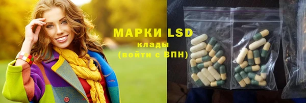 прущие грибы Аркадак