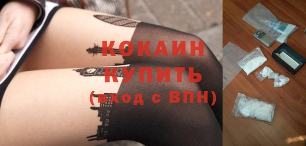 прущие грибы Аркадак