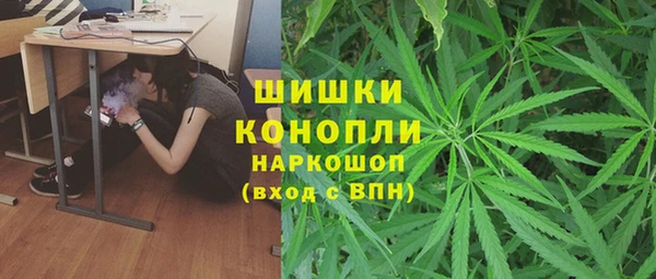 прущие грибы Аркадак