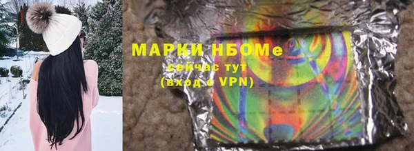 прущие грибы Аркадак